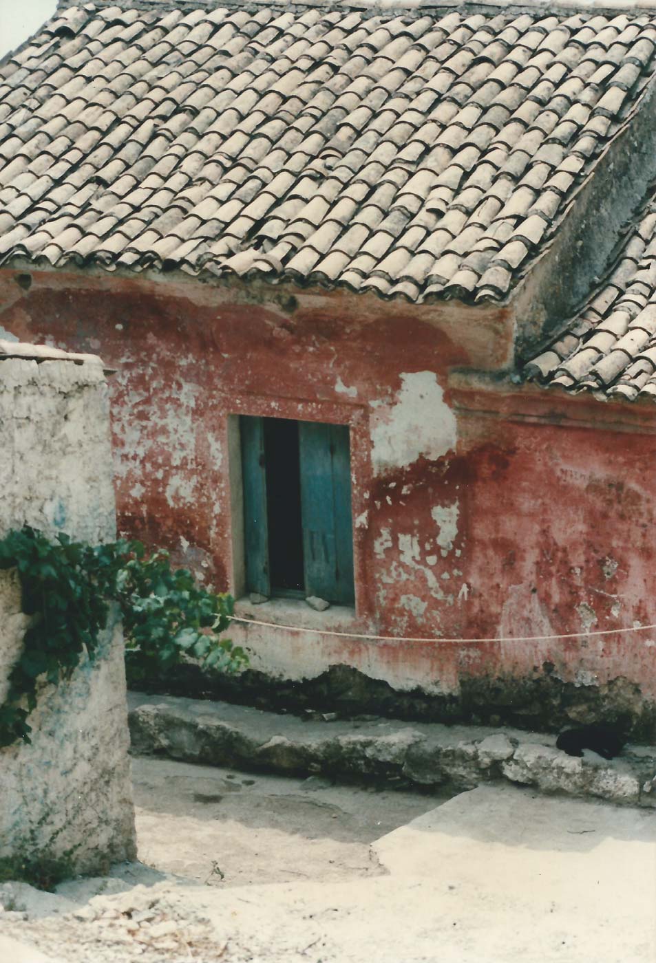 spartilas village corfu outdoor activities 06